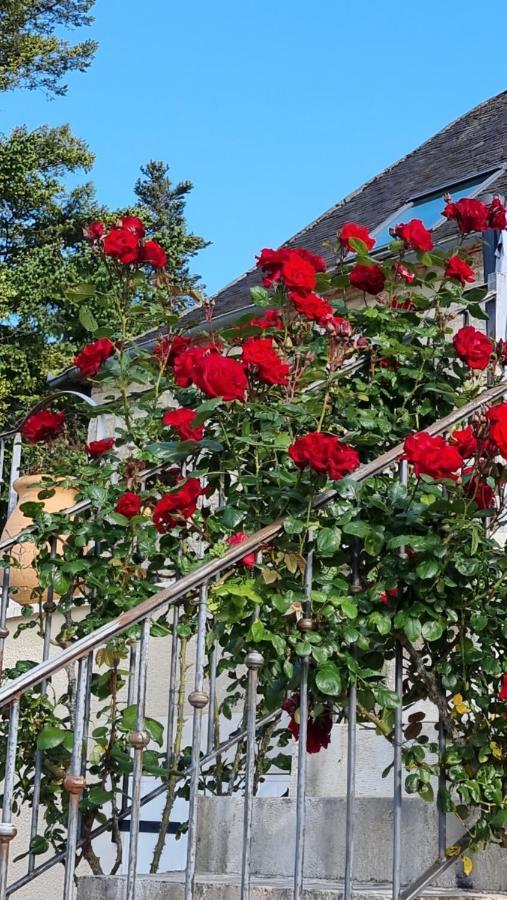 Bed and Breakfast Domaine La Garenne Reilhaguet Zewnętrze zdjęcie